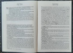 Cepher – Besoroth: The Gospels with Hebraic Concepts – Newly Updated in 2023!