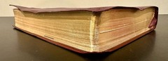 The Student Bible NIV Zondervan (1996, Bonded Leather)