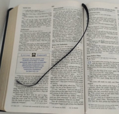 The Living Insights Study Bible NIV Zondervan Bonded Leather 1996 Swindoll Navy