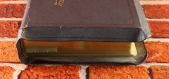 Holy Bible 1950 Catholic Press Rev. John P. O’Connell