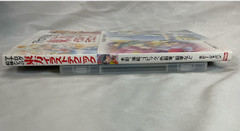 Touhou Illustration Techniques Art Book Japanese Manga Anime Drawing Guide