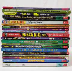 3rd Grade Chapter Books For Boys Lot of 20 Teacher Classroom Homeschool Library