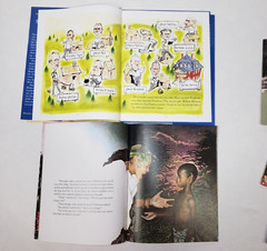 Caldecott Honor Picture Books For Kids Lot Of 10 Classroom Set Award Winners