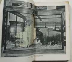 The Extermination of the American Bison 1889 Hornaday 1st Edition Buffalo