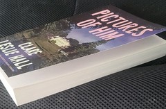 Pictures of Him: A Novel – Paperback, by Hall Clare Leslie – Like NEW