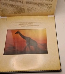Safari: A Photicular Book