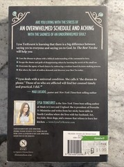 The Best Yes by Lysa TerKeurst (2014, Trade Paperback)