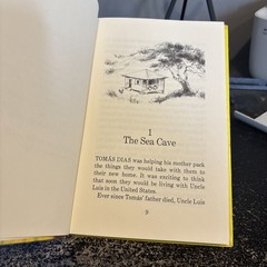 Tomas and the talking birds by Ruth Nulton Moore, 1979, Herald Press Puerto Rico