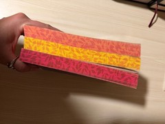 The Hunger Games Trilogy Deluxe Edition Paperback Box Set