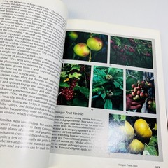 The Victory Garden: The Essential Companion : Three …