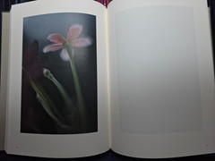 LUMIÈRE by Mikiya Takimoto