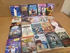Lot of 100 Chapter INSTANT LIBRARY Children RANDOM~MYSTERY BOX~UNSORTED BOOK MIX