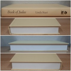 Book of Judas~Linda Stasi~381 pages~2017~1st Edition~H/C~D/J~Very Good Condition