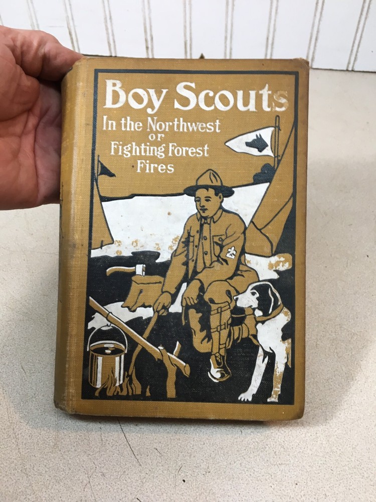 Boy Scouts In The Northwest of Fighting Forest Fires, G. Harvey Ralphson, 1911