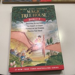 Magic Tree House box set 1-4 + various books 8, 13, 20, 21