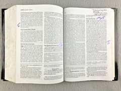 The NRSV Renovare Spiritual Formation Bible with the Deuterocanonical Books