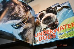 Underwater Dogs Kids Edition by Casteel, Seth w/Poster Hardcover Gift Animals