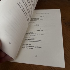 Vanished:Poems by Carolyn Beard Whitlow