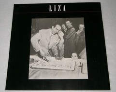 LIZA MINNELLI 12 x 12 PICTURE Booklet / REVIEW of MOVIES & SHOWS & FAMILY