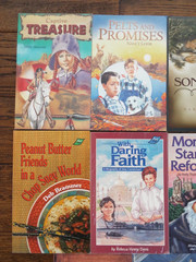 Lot 11 BJU Press Journey Forth Novels Literature Books