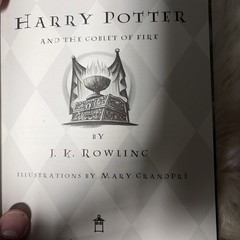 Harry Potter Goblet of Fire True 1st Edition 1st Print Errors Pg 291 & 667 RARE