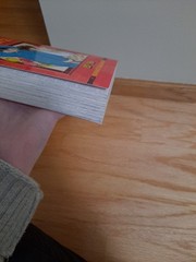Ranma 1/2 (2-In-1 Edition), Vol. 8: Includes Volumes 15 & 16 LIKE NEW