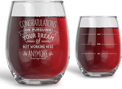 Farewell Gifts for Coworkers – Congratulations on Pursuing Your Dream – 16 Oz Be