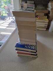 Jenn McKinlay Lot Of 12 Books. 10 Library Lovers Mysteries And 2 Bluff Romance