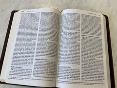 Bible NIV 1984 Large Print Thinline Burgundy Bonded Leather Excellent Condition