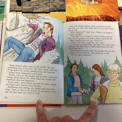 Sunshine Reader 2nd Grade 17 Book Lot Rigby Wright