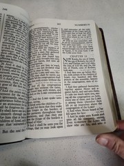Holy Bible King James Version Giant Print Red Letter Concordance Nelson 883CBG