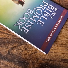 The NLT Bible Promise Book; Softcove- 1414369840, Ronald A Beers, paperback,