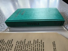 The Observer’s Book of Fossils by Rhona M. Black 1977 First Edition Hardback