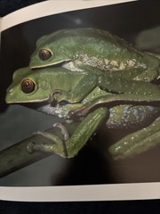 300 Frogs : A Visual Reference to Frogs and Toads from Around the World
