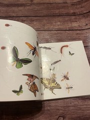 Sticker Fun Book of Animals Funfax SEE NOTES