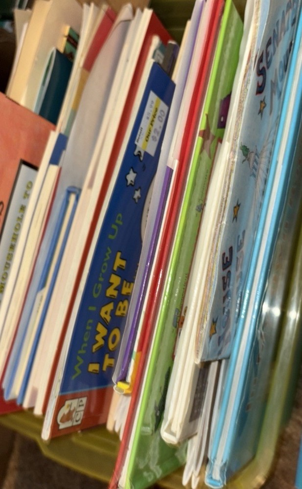 Children’s Literature Books – 20 Lbs. Paperback Mixed Lot