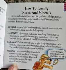 Dig into Rocks A Guide for Collectors 36 Pages Rocky the Rockhound is Your Guide