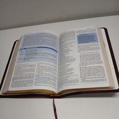 The Student Bible New International Version 1996 Edition Burgundy Bonded Leather