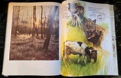 NOAH’S ARK Animal Art by Rien Poortvliet 1986