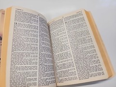 HOLY BIBLE Regency Words of Christ in Red Nelson Pub. King James Version 1977