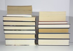 16 Mystery Thriller Crime Detective Novels – Assorted Fiction Book Lot