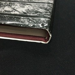 Stained Glass Collection Photo Book 224 Pages German English Text 10.6×9.1in