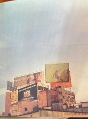 Francis Alÿs The Prophet and the Fly Text by Catherine Lampert