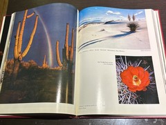 The Best From Arizona Highways-Roadside Beautiful Scenery 175 Pages Of Amazing