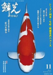 Rinko November 2021 Magazine – 2021/10/14 From Japan Y/N