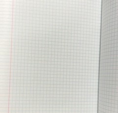 SET OF 10 Russian Grid Notebook Тетрадь в клетку с полями 36 страниц