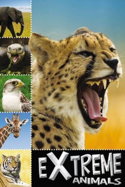 Extreme Animals (Ready To Read) – Paperback By Creese, Sarah – GOOD