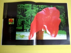 Erotic photo album I am a woman I am a blade of grass I am dew 2005 V. Pilipyuk