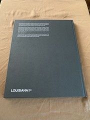 Daniel Richter: Lonely Old Slogans by Daniel Richter (2017, HC 1st Ed)