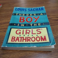 Lot of 20 Chapter Books for 4th Grade Boys & Girls Classroom RL4, AR
